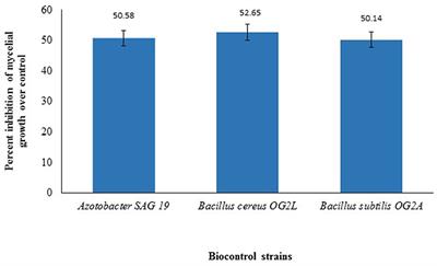 Biologicals and New Generation Fungicides in the Management of Blast Disease in Rice